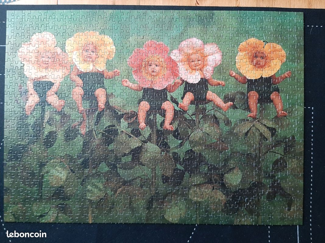 Puzzle 1000 pièces Anne Geddes (image 1)