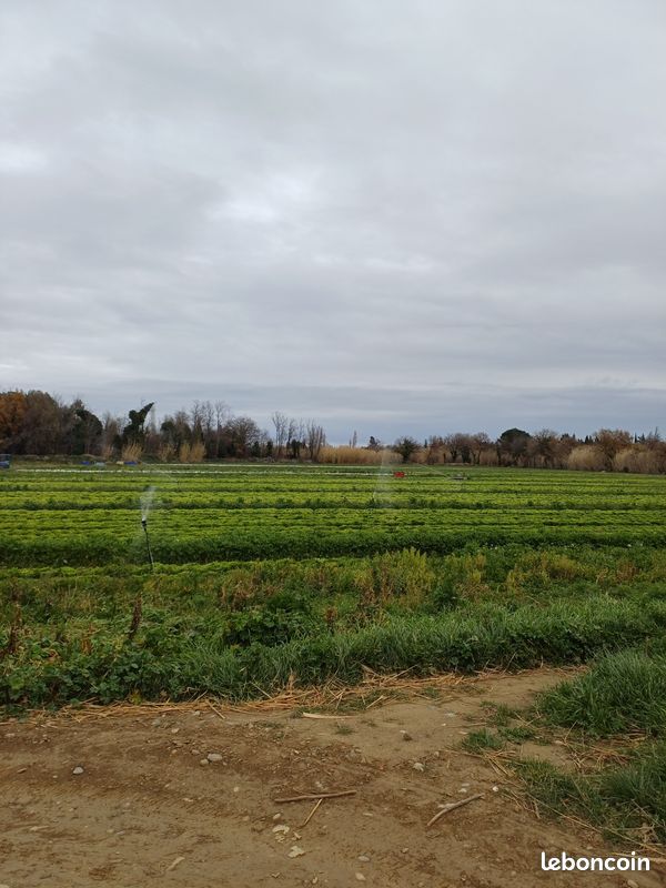 Terrain 44 000 m² · à Pézilla-la-Rivière · 125 000 €