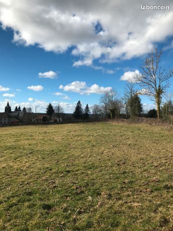 Terrain 7461 m2 dont 1050 m2 constructibles Cisternes-La-Foret 63740