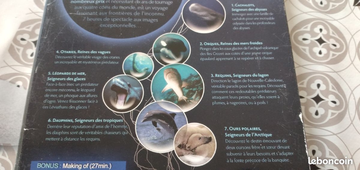 Seigneurs des océans (image 2)