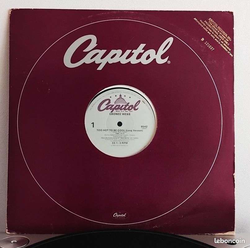 Ebonee Webb - Too Hot To Be Cool (12") (image 1)