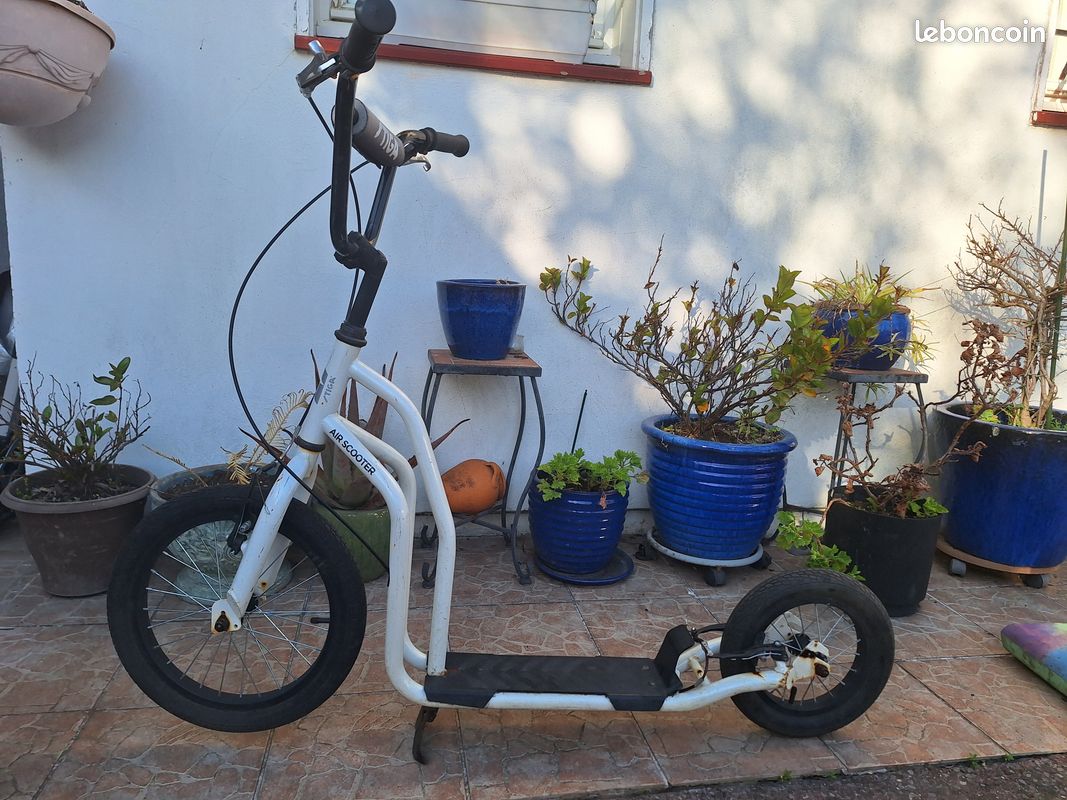 Trotinette TIGA roue gonflable et freins AV & AR (image 1)