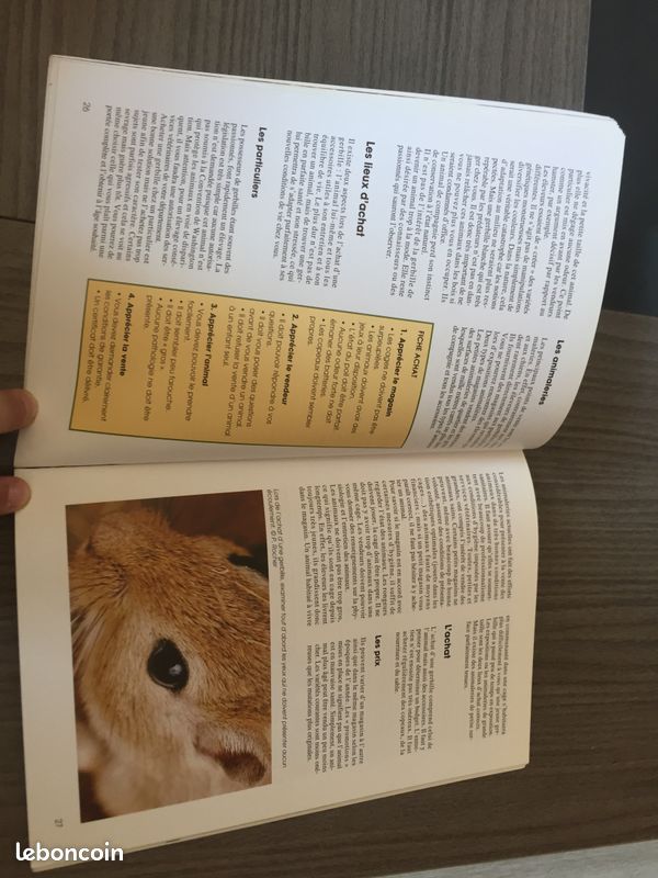 Livre "La gerbille" (christou) (image 2)