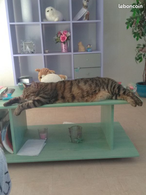 Je vend une table de salont (image 1)