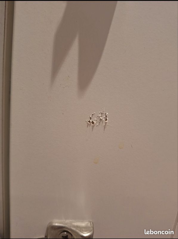 2 PORTES - armoires ikea Grimo (image 6)