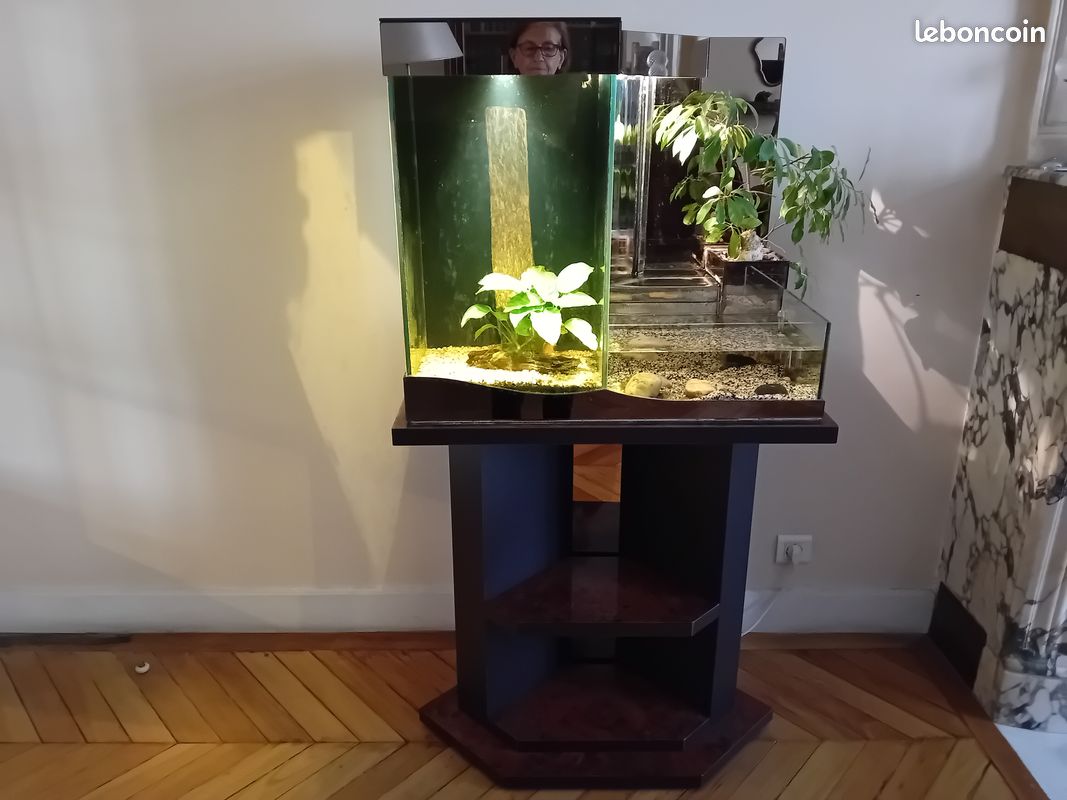 Aquarium Eco Terrarium et son meuble (image 1)