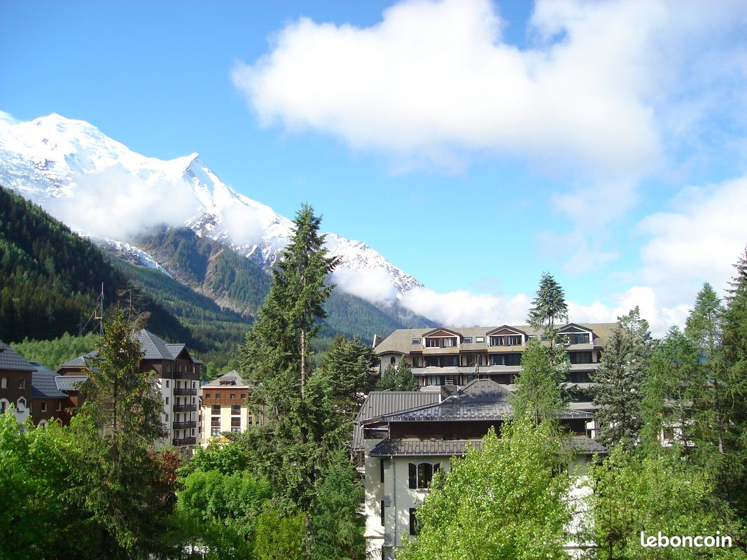 F2 de 35 m² Chamonix centre vue Mont Blanc (image 10)