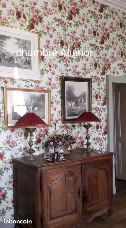 Château 16 couchages adultes + 4 enfants (image 9)