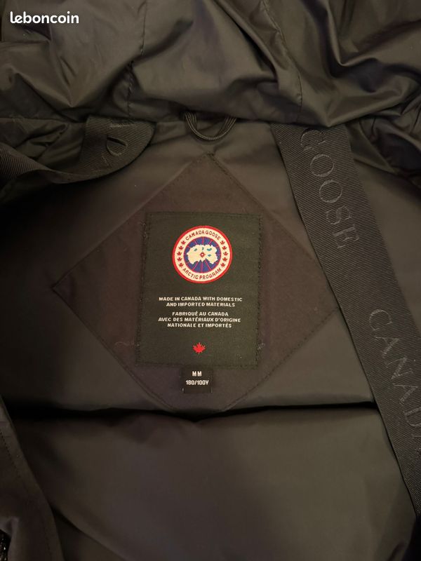 Canada goose (image 13)