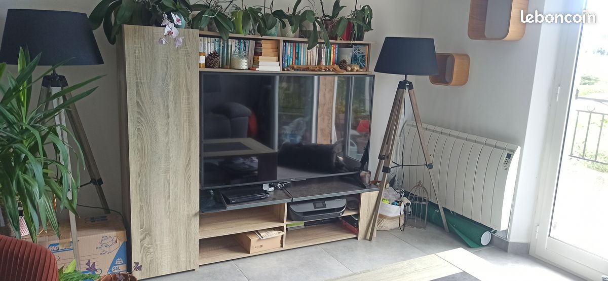 Meuble Télé (image 1)