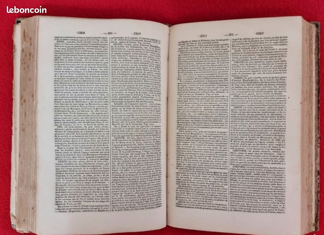Dictionnaire universel des sciences des lettres et des arts 1864 (image 3)