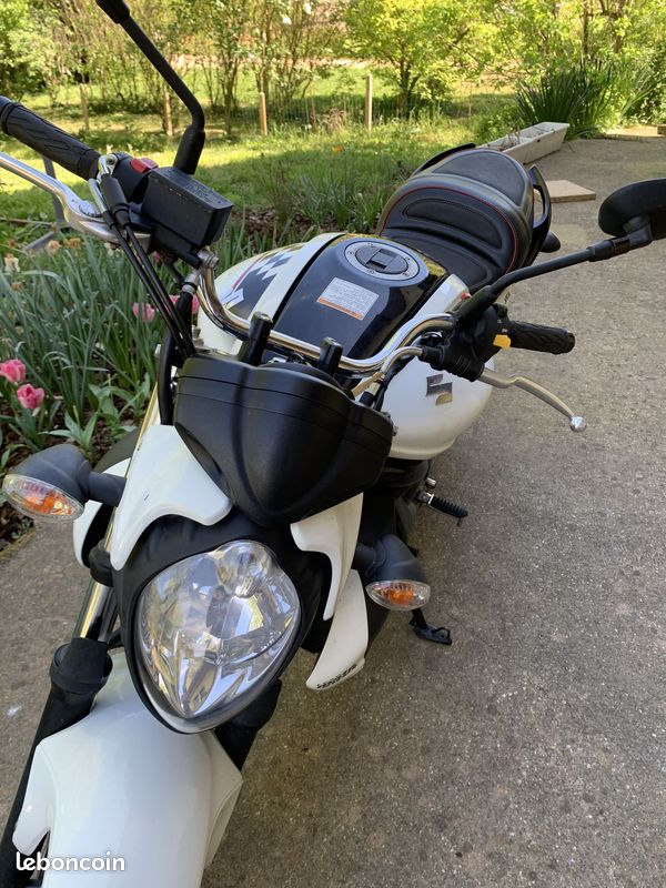 gladius suzuki