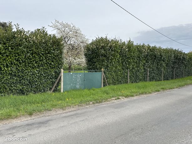 Terrain 722 m² Boutiers-Saint-Trojan