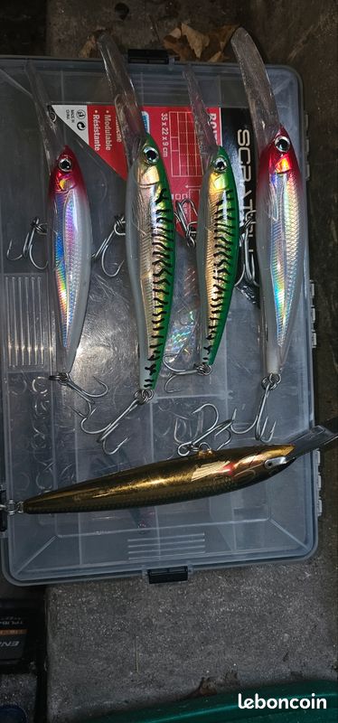 262 Images et Photos de Rapala Libres de Droits