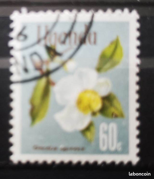 Collection De 25 Timbres Hiboux Différents - Prophila - Timbres Authentiques Pour Collectionneurs