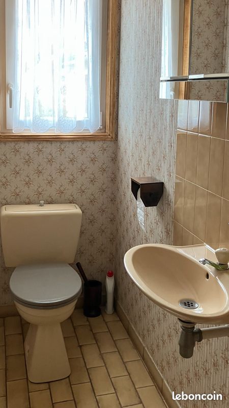 WC et lave mains (image 1)