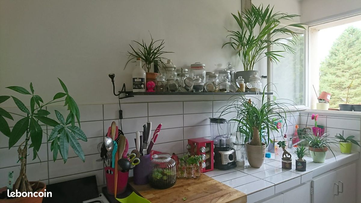 Appartement 2 pièces 60 m² · à Nantes · 60 m² · 780 €/mois