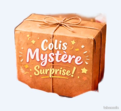 Colis Mystère 1,37 Kg – Lot Surprise D'occasion – Bonne Affaire