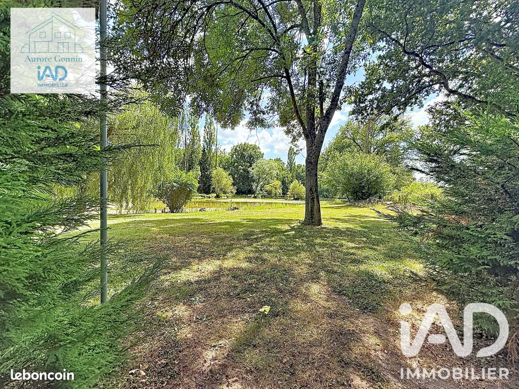 Terrain 21837 m² Chantenay-saint-imbert (image 9)
