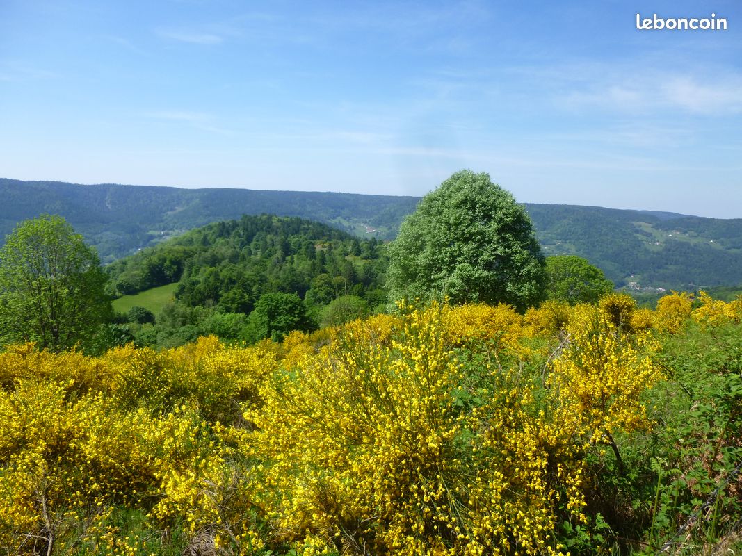 Chalet sympa Hautes Vosges (image 11)