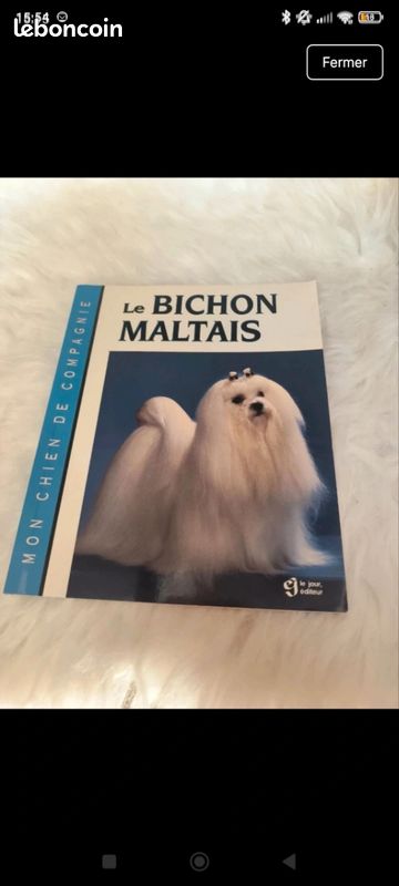 Livre bichon maltais (image 1)