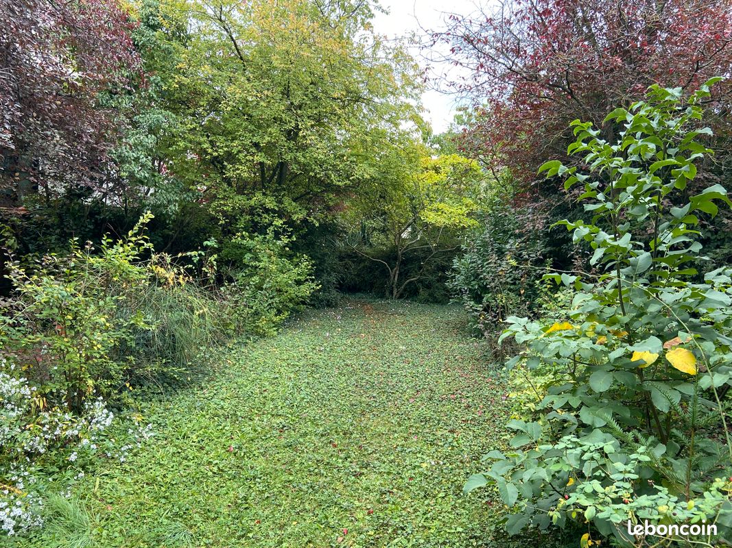 Terrain constructible 275 m2 à Antony 92 · 449 000 €