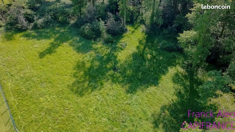 Terrain 5 000 m² Buros