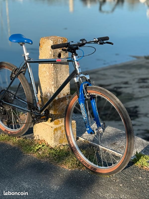 VTT Sunn Chrome (image 2)