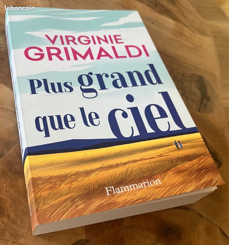 Livre Virginie Grimaldi « plus grand que le ciel » (image 1)