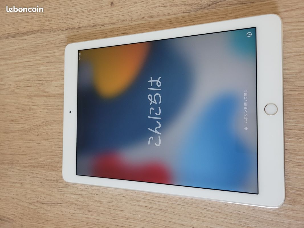 IPad Air 2 16Go Gris - Wi-Fi - Débloqué - Avec Accessoires - Occasion