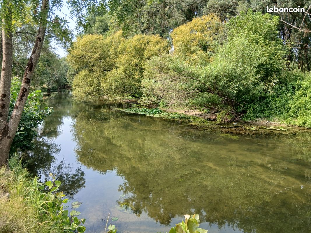1,5 euros / m² – Coup de pêche au bord de l'Indre + peupliers à exploiter · à Rivarennes · 10 000 €