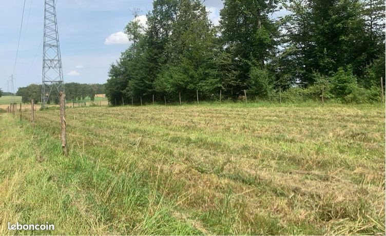 Location pré chevaux