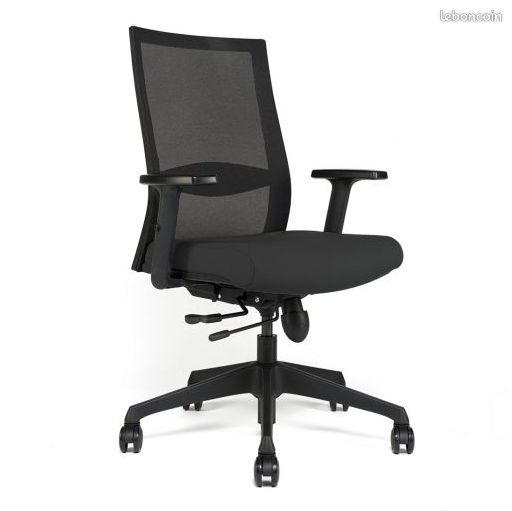 Fauteuil de bureau ergonomique (image 1)