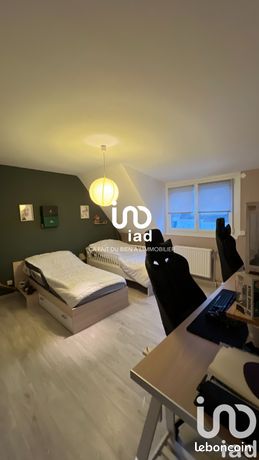 https://img.leboncoin.fr/api/v1/lbcpb1/images/10/33/5d/10335de6a35816bae1eb0b2c21e87b0131170de4.jpg?rule=ad-image