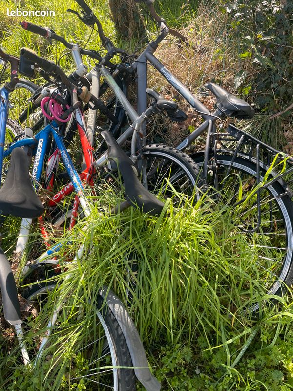 4 vélos (image 3)
