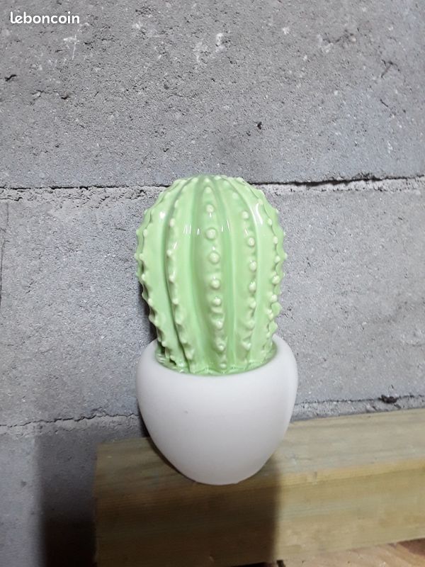Cactus décoratif (image 1)