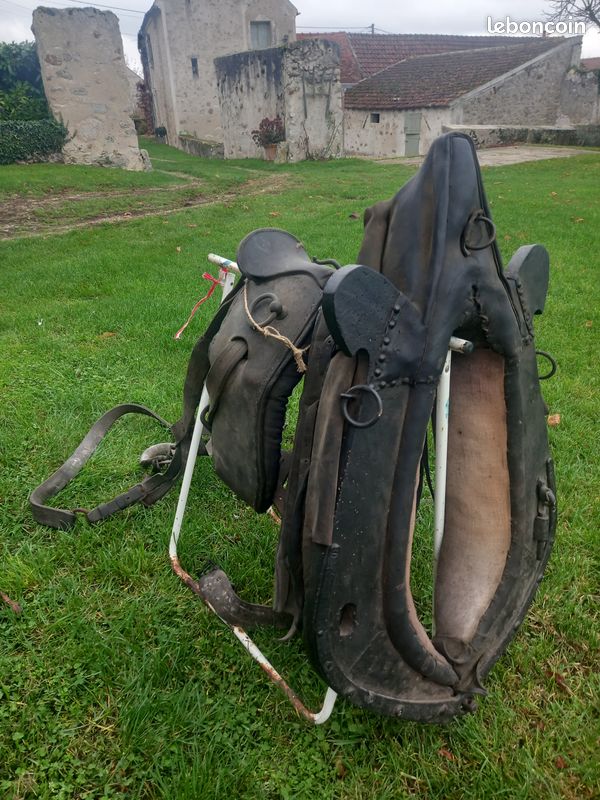 Harnais pour chevaux (image 3)