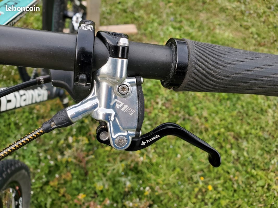 Bianchi methanol (image 10)