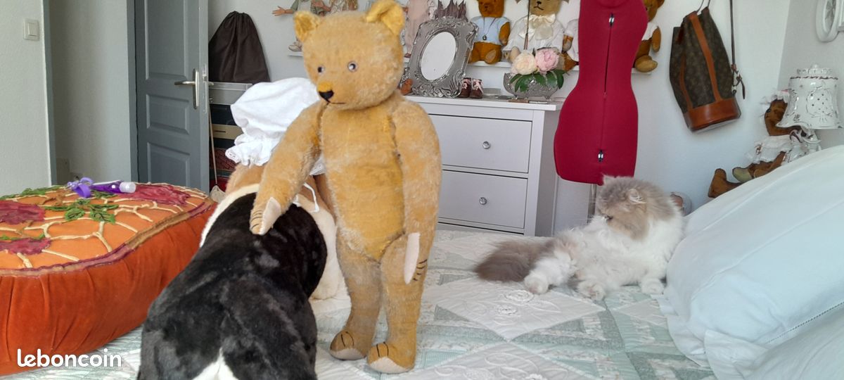 Rare et très bel ours ancien allemand Petz (image 6)
