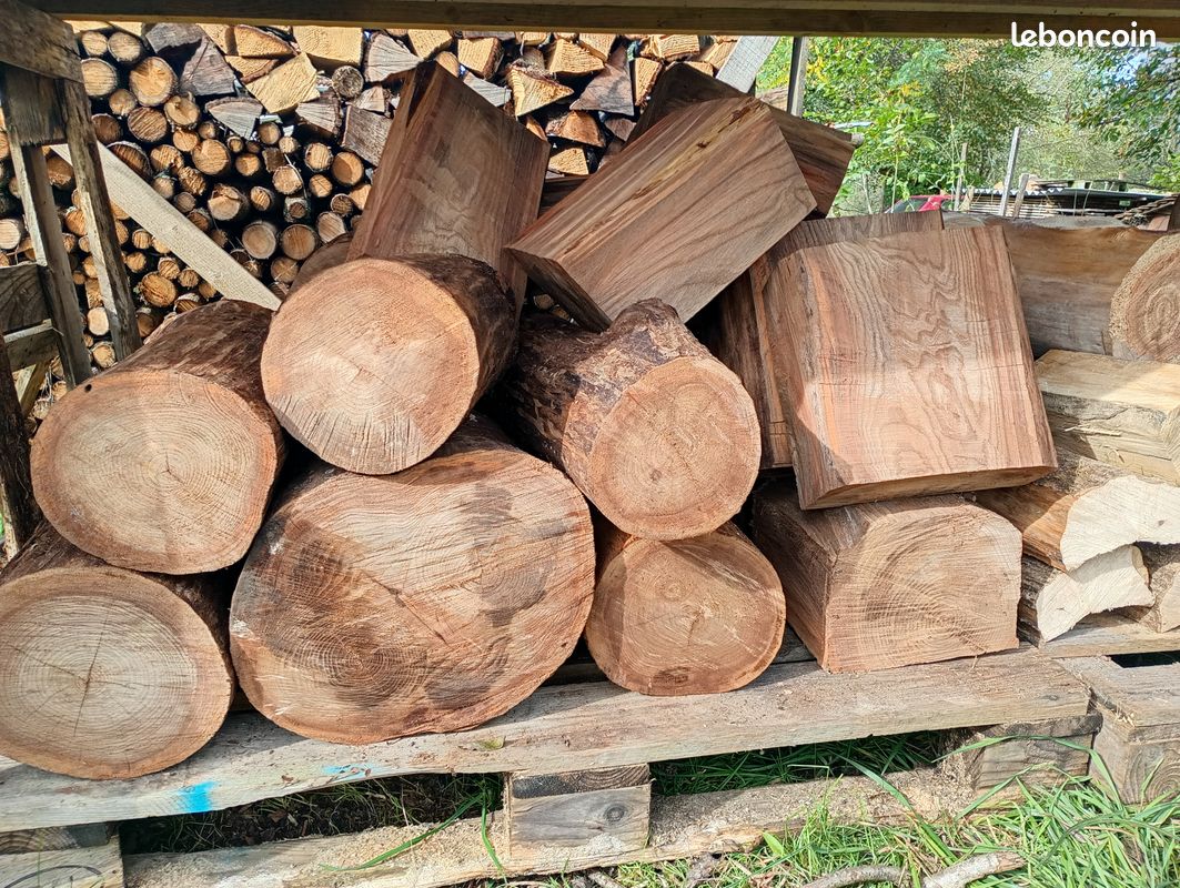 Bois pour sculpture ou tournage - Aulne, Noyer noir, bois échauffés et autres (image 6)