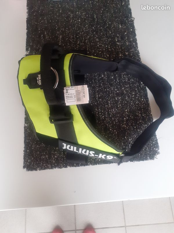 Harnais pour chien (image 2)