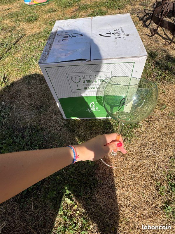Verre en plastique Gvine (image 2)