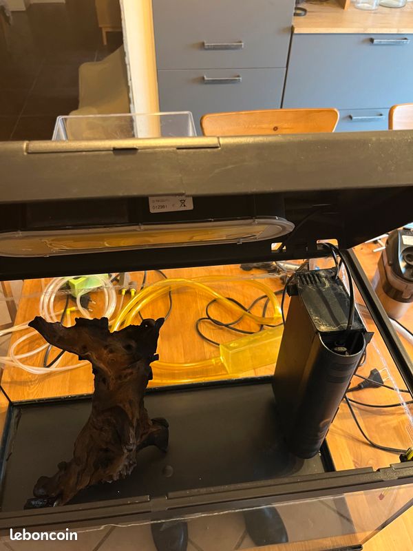 Aquarium complet et accessoires (image 2)
