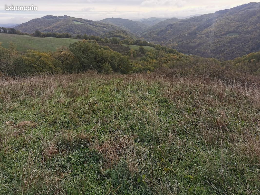 Très grand terrain 7,5 hectares prairie, forêts, source et ruine, idéal projet autonomie · à Broquiès · 420 €