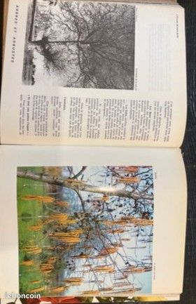 L’univers de notre jardin (image 5)