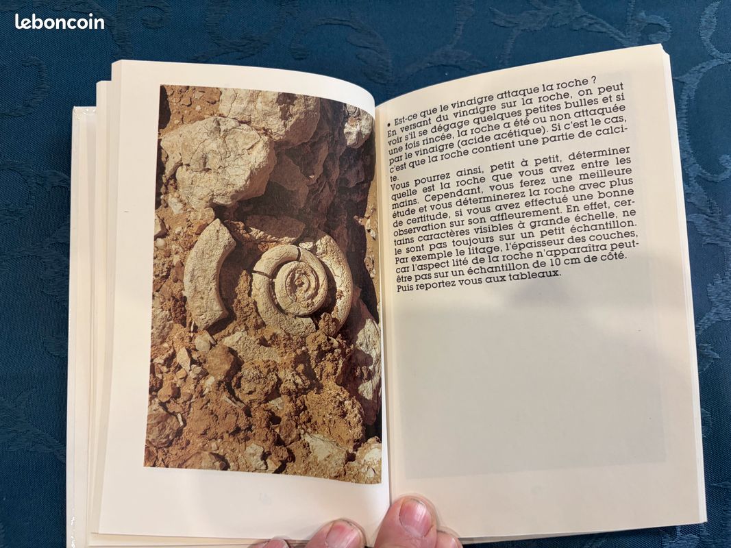 Livre Les pierres du chemin (image 7)