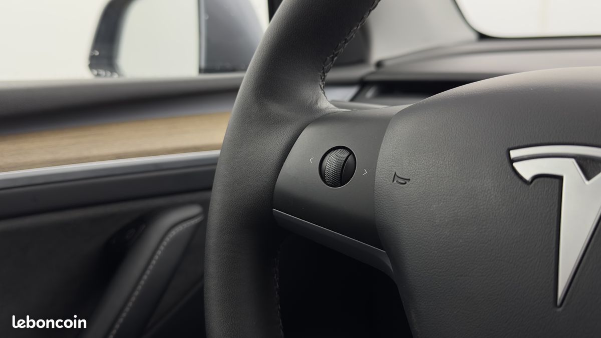 TESLA MODEL Y Grande Autonomie Dual Motor AWD (image 13)