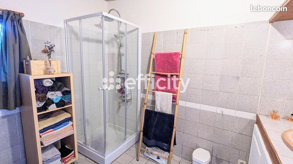 Maison 5 pièces 170 m² - Ruffec 16700 (image principale 7)