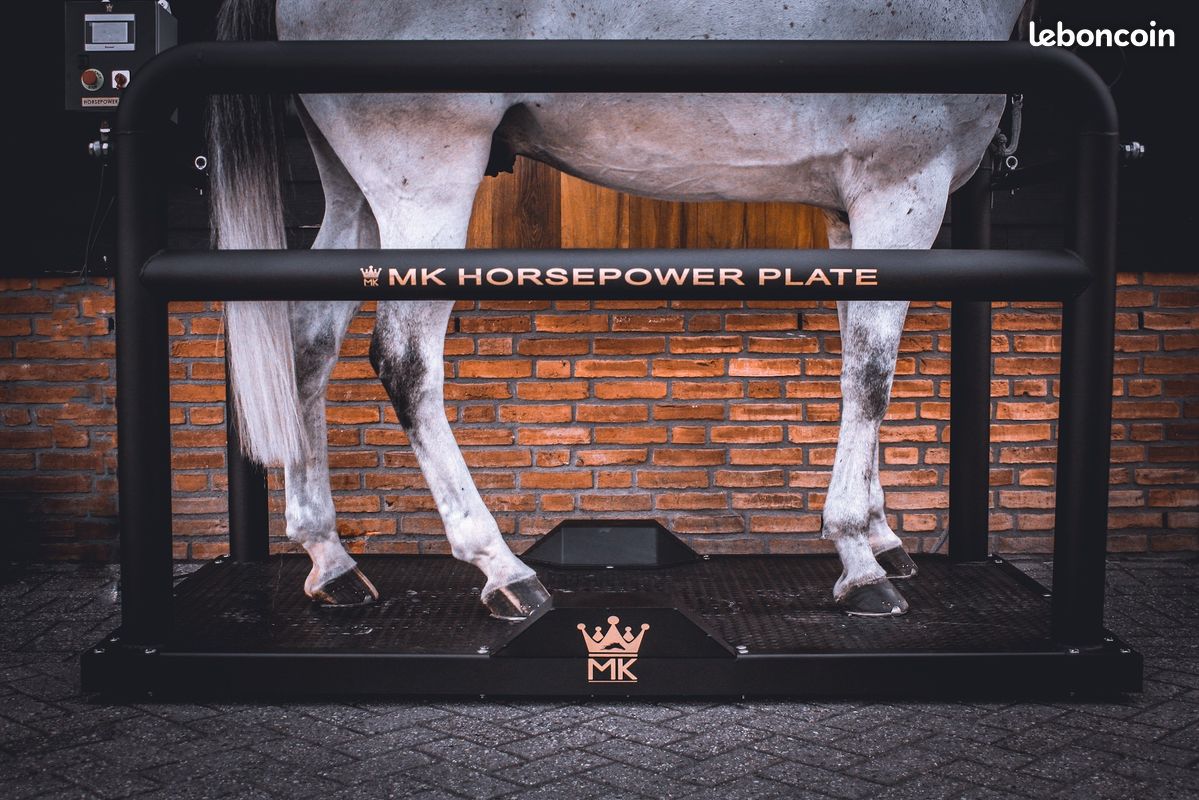 Plaque vibrante pour chevaux – neuf – livraison rapide – prix