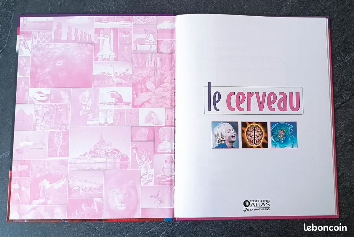 Livre Atlas des juniors le cerveau - Édition Atlas Jeunesse (image 3)